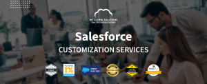 Some Important things of Salesforce Customization